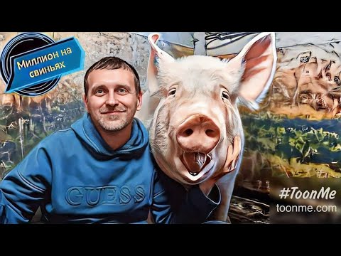 Видео: Свиноматки поросятся как из пулемёта.Миллион поросят это реально. 