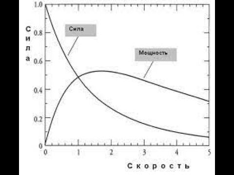 Видео: Международное обозначение зон мощности. Физиологические изменения в каждой из них.
