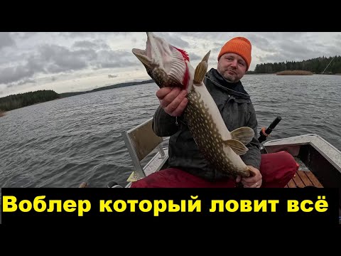 Видео: Каким воблером ловить, когда клюет плохо.