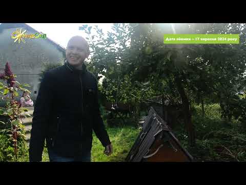 Видео: 🌿 Пермакультура: “Теплі грядки” Розума 🌿