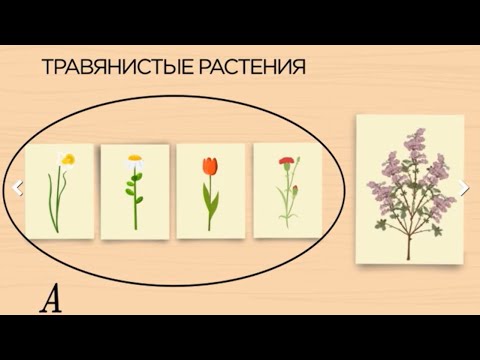 Видео: Множество и его элементы. 2 КЛАСС МАТЕМАТИКА