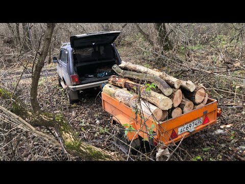 Видео: Дрова заготовил чутка. 26.10.2025г. 