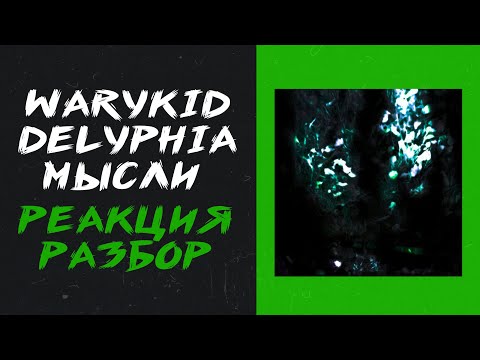 Видео: Warykid, delyphia - мысли (реакция и разбор)