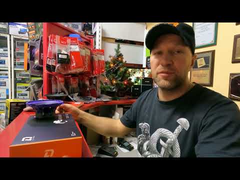 Видео: Лучшая акустика 13 см до 2000руб DL Audio Piranha 130 v.2 👍