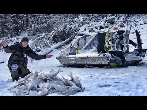 Видео: ГОРУ КРУПНЯКА НАЛОВИЛИ! ТАК ЛОВЯТ МЕСТНЫЕ! И МЫ)