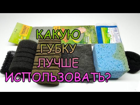 Видео: КАКУЮ ГУБКУ ЛУЧШЕ ВСЕГО ИСПОЛЬЗОВАТЬ В АКВАРИУМЕ?