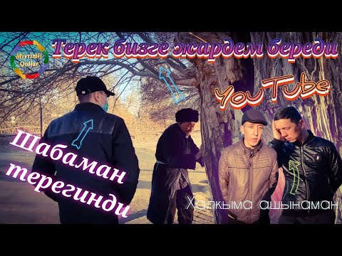 Видео: Дыккат!!! Терекде Жын барма?!!, Бул жерге барылмасын.