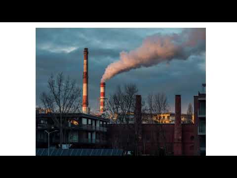 Видео: Человек и природа