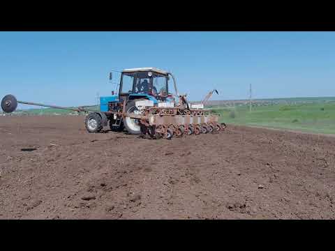 Видео: Прислали стажера учу его сеять подсолнечник