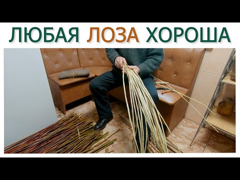 Видео: ПОЛЕЗНАЯ ИНФОРМАЦИЯ ДЛЯ ЛОЗОПЛЕТЕЛЬЩИКОВ #wickerweaving