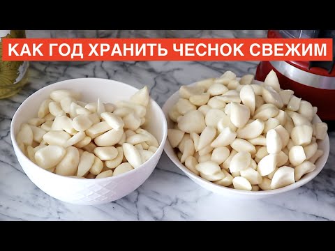 Видео: 🧄🧄🧄 КАК ХРАНИТЬ много чеснока год - Сохранить чеснок свежим - Лайфхак Оригинальный и простой меетод