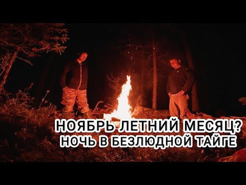 Видео: РЫБАЛКА НА САМОДЕЛЬНЫЕ САМОЛОВКИ.ЩУКА ЕСТЬ.ЗАХВОРАЛ.РЫБАЛКА В КАРЕЛИИ.