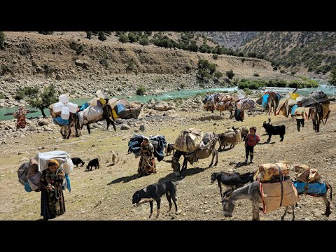 Видео: Кочевая жизнь: начало кочевой миграции 🐑 | Девушки-кочевницы сталкиваются с дикими горами 🏞️