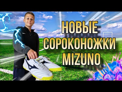 Видео: Обзор НА МОИ НОВЫЕ СОРОКОНОЖКИ MIZUNO MORELLA NEO SALA!!!