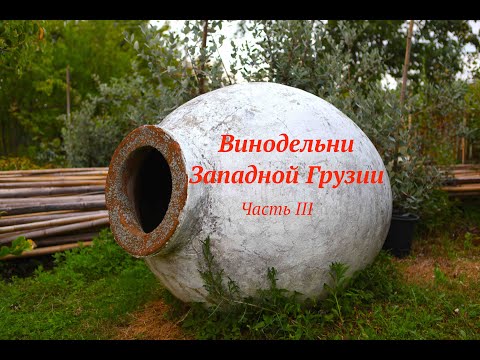 Видео: Виноделы Западной Грузии