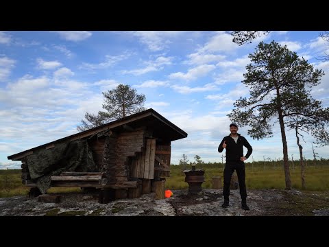 Видео: Дикая Финляндия: ночь на болотах без палатки. #wildsuomi