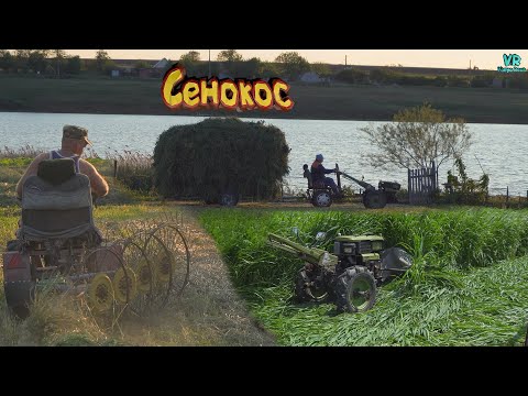 Видео: Сенокос 2020