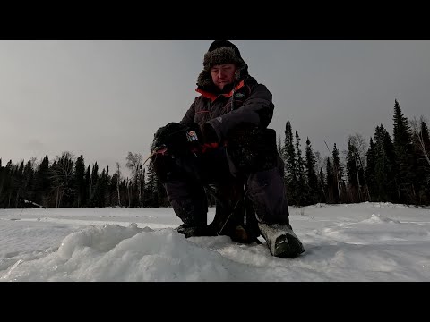 Видео: ХМАО. САРАНПАУЛЬ. МАРТ 2025. РЫБАЛКА. Ловим Чебака! Заключительная серия.