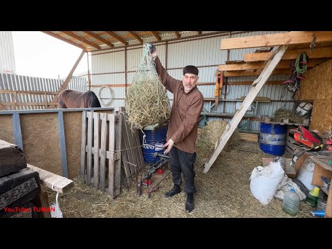 Видео: Купили Лошадь ?, Чем кормить Сеном или кормами, сколько давать, в каких количествах.