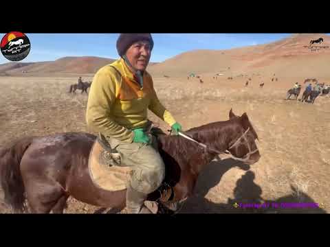 Видео: Кара-Кулжа Элдияр уулдарына бата алып улак берди🇰🇬🔥