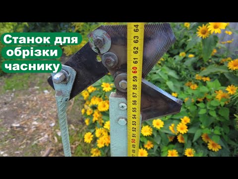 Видео: Станок для обрізання часнику.  РОЗМІРИ