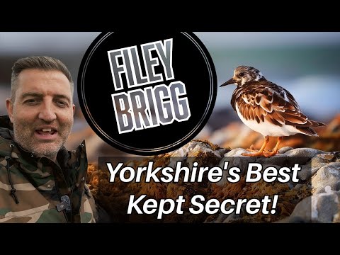 Видео: Файли Бригг — самый тщательно хранимый секрет Йоркшира