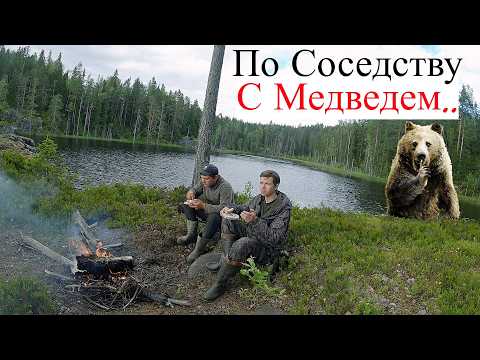 Видео: На Медвежье Озеро за Хорошим Уловом! UHD