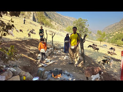 Видео: Кочевая жизнь | Строительство каменного дома 🏛в самом сердце гор и рождение овцы 🏔️🐑