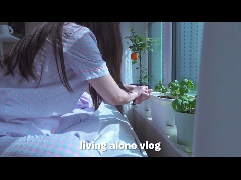 Видео: Живу в одиночестве, готовлю очень острые блюда булдак и традиционные корейские сладости