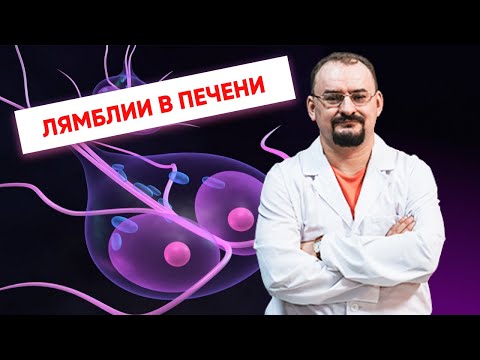 Видео: Лямблии в печени.