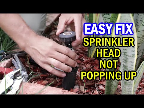 Видео: Как легко и просто починить головку разбрызгивателя, если она не открывается