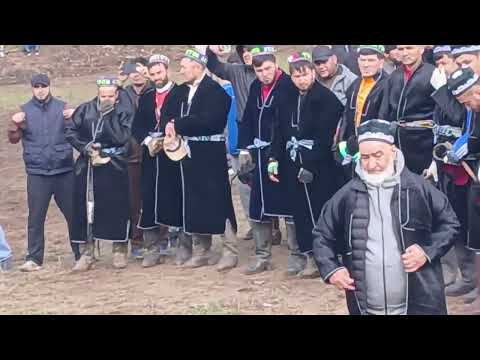 Видео: 2 октября 2025 г.