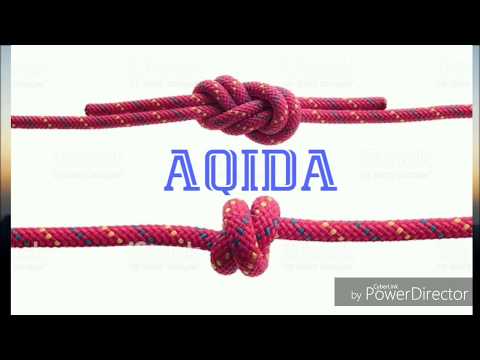 Видео: Шайх содик самаркандий. Акида нима