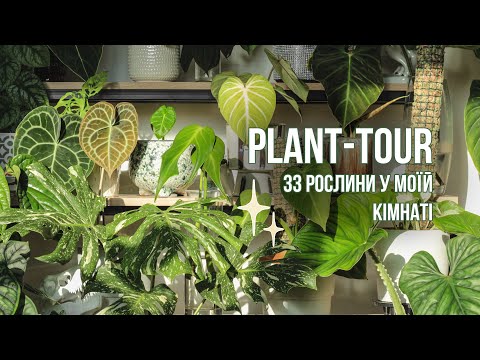 Видео: ОГЛЯД МОЇХ РОСЛИН 29.09.2023 / #planttour