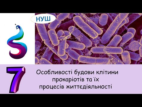 Видео: Особливості будови клітини прокаріотів та їх процесів життєдіяльності