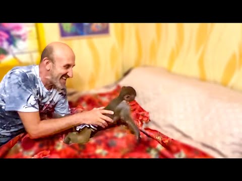 Видео: Чтобы ЛЮСЬКУ УСПОКОИТЬ нужен примерно час, но и то, не всегда получается)))