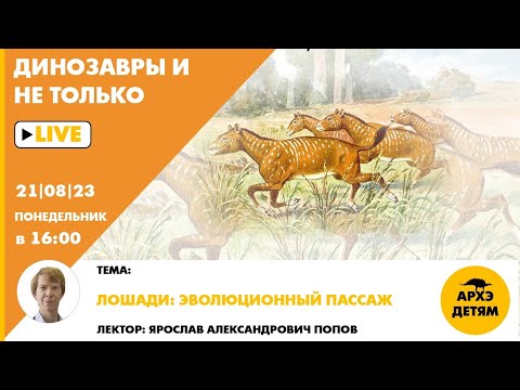 Видео: Занятие "Лошади: эволюционный пассаж!" кружка "Динозавры и не только" с Ярославом Поповым