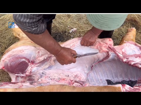 Видео: Робота майстра супер гострим ножем