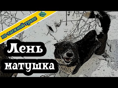 Видео: Таежный промысел. Один в тайге. По таежной тропе.