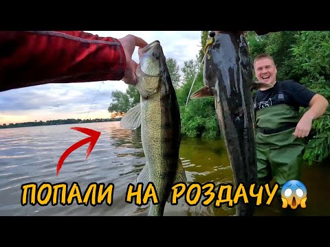 Видео: ⚠️КЛЮВАЛО ДУПЛЕТАМИ! Божевільна Рибалка на Дніпрі