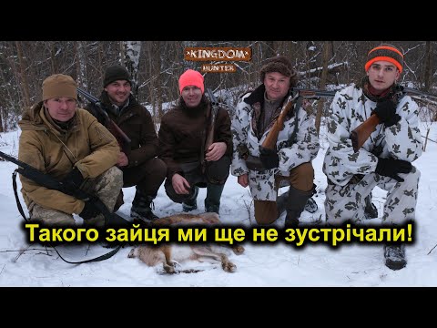 Видео: Такого зайця ми ще не зустрічали!