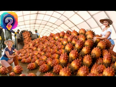 Видео: Как МИЛЛИОНЫ морских ананасов обрабатываются — увлекательный мир выращивания морских ананасов!