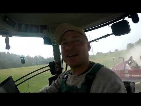 Видео: Дт-75 Расчистка территории. Капаем пруд #дт-75 #экскаватор кobelco