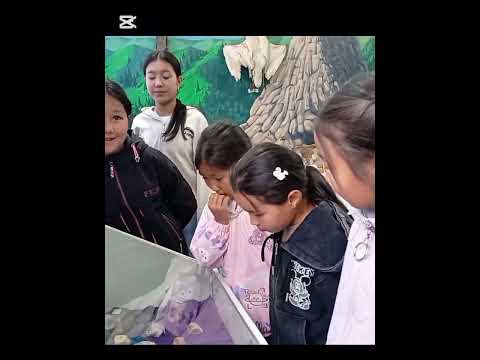 Видео: 30 октября 2025 г.