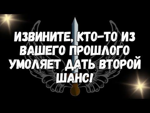 Видео: Извините, кто то из вашего прошлого умоляет дать второй шанс!