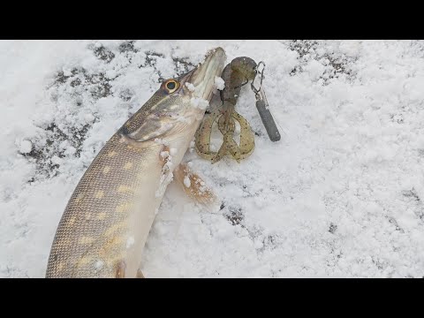 Видео: Щуки клюють на рачки класні приманки KEITECH