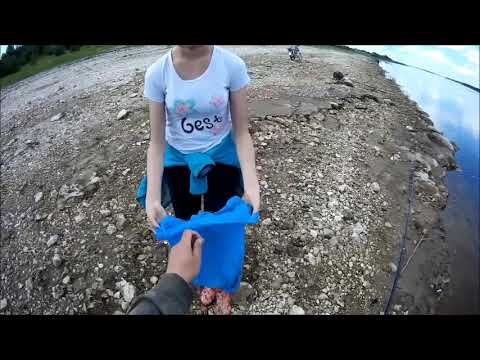 Видео: Рыбалка на Северной Двине с Женькой