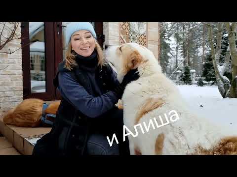 Видео: Бурситы, артриты, артрозы у САО. Причины, профилактика и лечение.