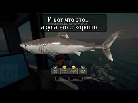 Видео: Что-то зубатое. Русская рыбалка 4.