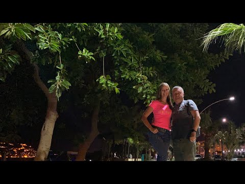 Видео: 4❗️ASIA BEACH RESORT 5* пляж заход в море, игривый нападающий кот, Алания вечером